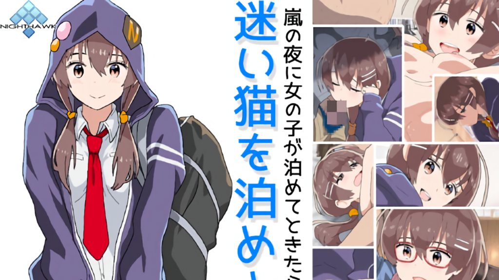 [ナイトホーク] 迷い貓を泊めよう